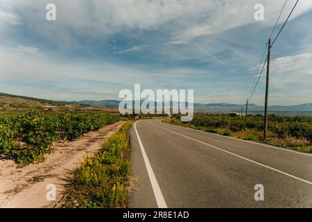 NAVARRE, ESPAGNE - OCTOBRE 2022 pèlerin marchant en français Camino Frances à Saint-Jacques-de-Compostelle. Photo de haute qualité Banque D'Images