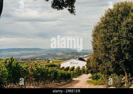 NAVARRE, ESPAGNE - OCTOBRE 2022 pèlerin marchant en français Camino Frances à Saint-Jacques-de-Compostelle. Photo de haute qualité Banque D'Images