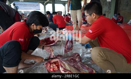 le processus de coupe de la viande sacrificielle pour chaque partie Banque D'Images