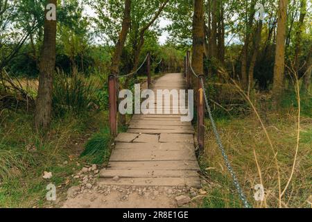 NAVARRE, ESPAGNE - OCTOBRE 2022 pèlerin marchant en français Camino Frances à Saint-Jacques-de-Compostelle. Photo de haute qualité Banque D'Images