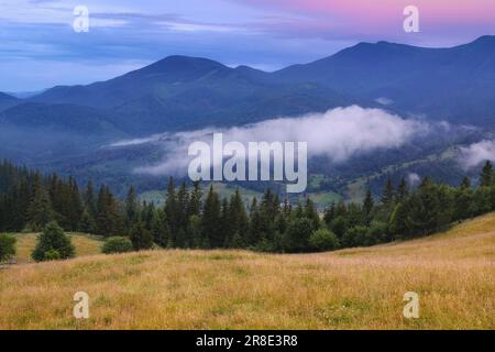 Ukraine, région d'Ivano Frankivsk, district de Verkhovyna, village de Dzembronya, paysage vallonné dans les montagnes des Carpates Banque D'Images