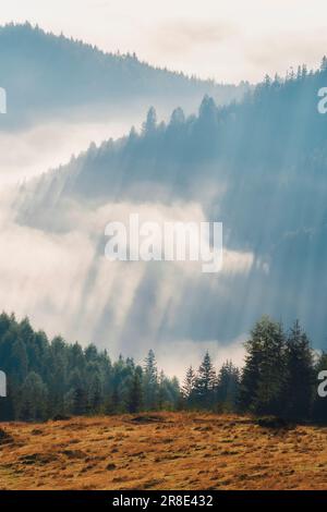 Ukraine, région d'Ivano Frankivsk, district de Verkhovyna, village de Dzembronya, matin brumeux ensoleillé dans les Carpates Banque D'Images