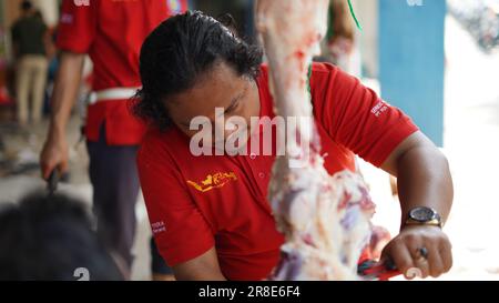 le processus de coupe de la viande sacrificielle pour chaque partie Banque D'Images