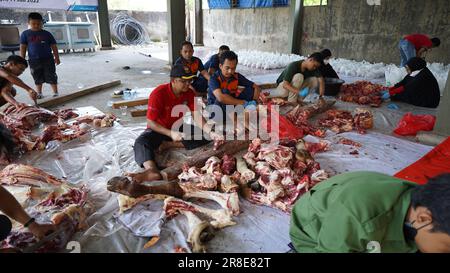 le processus de coupe de la viande sacrificielle pour chaque partie Banque D'Images