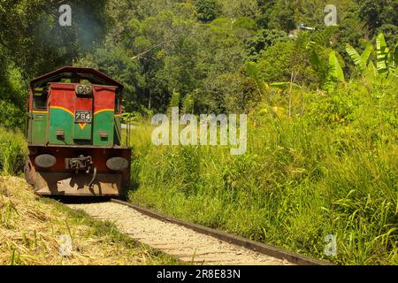 Prenez le train d'Ella à Kandy, au milieu de la jungle et des montagnes. Sri Lanka. Image d'arrière-plan avec espace de copie Banque D'Images