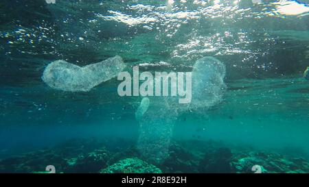 Mer Rouge, Égypte. 17th juin 2023. Groupe de Pyrosoma coloniale tuniciers flottent sous la surface sur l'eau au-dessus du récif de corail en rayons solaires ( Pyrosomes) Mer Rouge, Egypte (Credit image: © Andrey Nekrasov/ZUMA Press Wire) USAGE ÉDITORIAL SEULEMENT! Non destiné À un usage commercial ! Banque D'Images