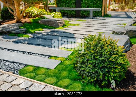 Chemin de conifères et d'ardoise avec paillis d'écorce et plantes indigènes dans le jardin japonais. Aménagement paysager et jardinage. Banque D'Images