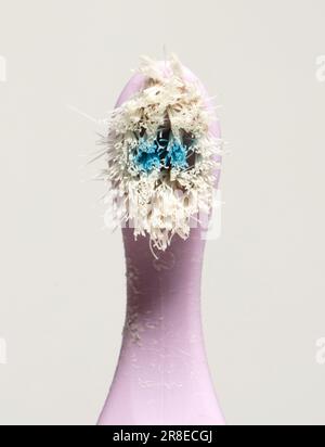 Brosse à dents à mâcher pour bébé, isolée sur fond solide Banque D'Images