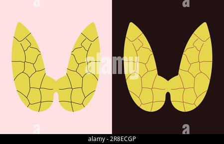 Thyroïde. Organe humain isolé sur fond blanc et noir. Élément pour infographie et graphiques médicaux. Illustration de Vecteur