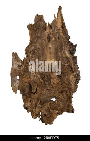 Texture de l'écorce de l'arbre sur fond blanc isolé, vue de dessus. Matériau naturel, podium pour produit. Elément de conception. Copier l'espace Banque D'Images