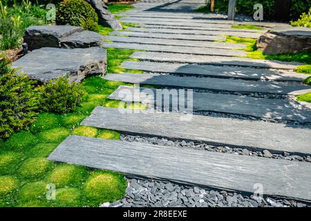 Chemin de conifères et d'ardoise avec paillis d'écorce et plantes indigènes dans le jardin japonais. Aménagement paysager et jardinage. Banque D'Images