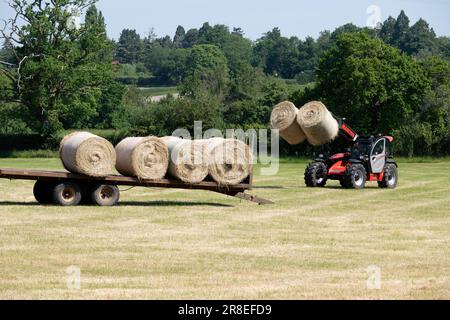 Tracteur Manitou chargeant des balles de foin sur une remorque, Warwickshire, Angleterre, Royaume-Uni Banque D'Images