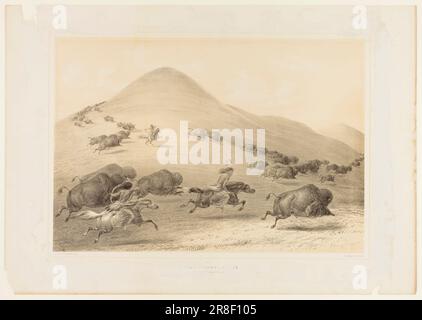 Buffalo Hunt, Chase--non 6 [] par George Catlin, né Wilkes-barre, PA 1796-mort Jersey City, NJ 1872 Banque D'Images