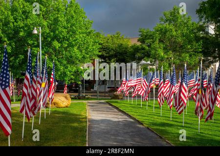 Drapeaux américains exposés dans un parc de la station balnéaire de Greenport, NY Banque D'Images