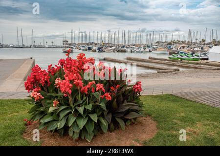 Navires ancrés dans le port d'Alcudia. Météo du matin. Îles Baléares, Majorque, Espagne. Banque D'Images