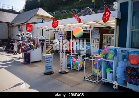 Boutique en bord de mer à South Cliff à Scarborough Banque D'Images