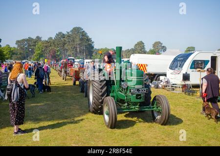 Une gamme de tracteurs d'époque à la foire de Scampton dans le Yorkshire Banque D'Images