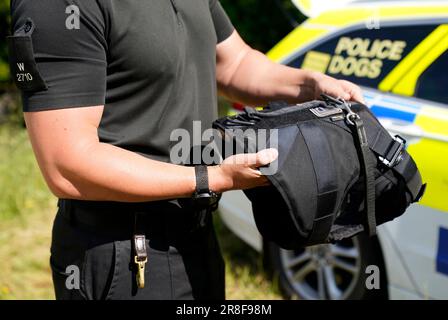 Un maître-chien de police du Wiltshire présente une armure de corps portée par les chiens de police pour les protéger des criminels violents, dans un centre de formation de la police à Chippenham, dans le Wiltshire. Le gilet canin offre une protection balistique et multi-menaces tout en offrant au chien une bonne liberté de mouvement. Date de la photo: Mercredi 21 juin 2023. Banque D'Images