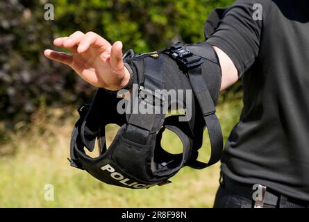 Un maître-chien de police du Wiltshire présente une armure de corps portée par les chiens de police pour les protéger des criminels violents, dans un centre de formation de la police à Chippenham, dans le Wiltshire. Le gilet canin offre une protection balistique et multi-menaces tout en offrant au chien une bonne liberté de mouvement. Date de la photo: Mercredi 21 juin 2023. Banque D'Images