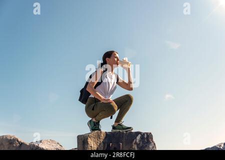 Marchette femelle se reposant et buvant de l'eau sur des rochers avec fond bleu ciel. Banque D'Images