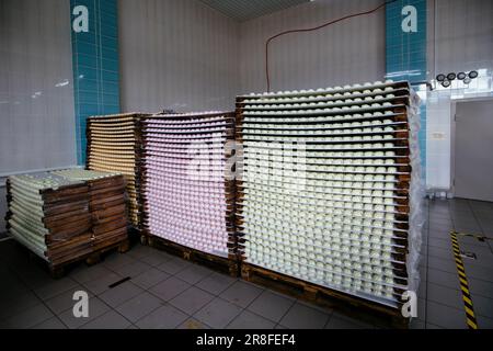 Zèphans semi-finis, séchage et refroidissement sur des palettes en confiserie. Banque D'Images