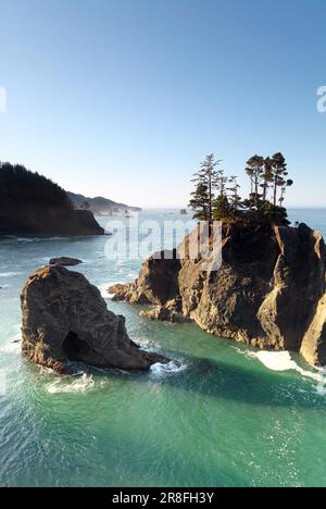 Seastack, Samuel Boardman Staatspark, Brookings, Oregon, États-Unis Banque D'Images