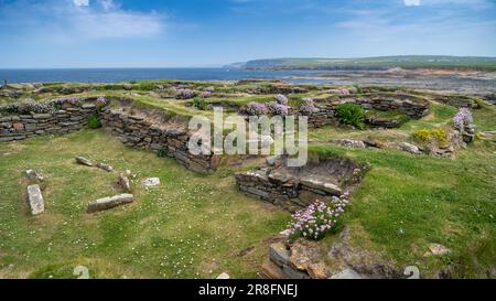 Vestiges de la colonie normande sur le Brough de Birsay, une île marémotrice inhabitée au large de la côte nord-ouest du continent d'Orkney, en Écosse. Banque D'Images