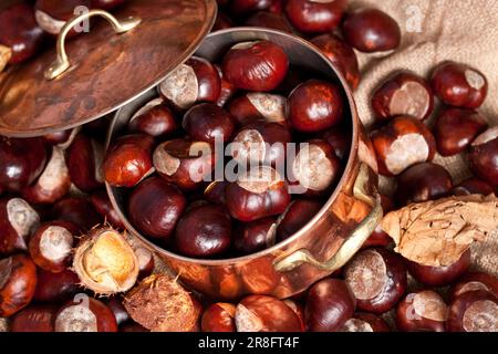 Châtaignes et bouilloire de cuivre, image de concept d'automne, avec coquillages et feuilles Banque D'Images