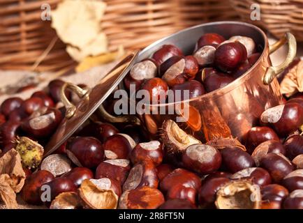 Châtaignes et bouilloire de cuivre, image de concept d'automne, avec coquillages et feuilles Banque D'Images