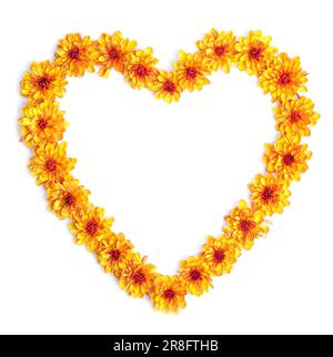 Un coeur de chrysanthème d'orange Banque D'Images