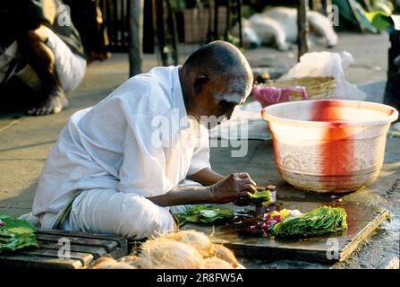 Vendeur de feuilles de bétel devant le temple de Kapaleeswarar à Mylapore, Chennai, Tamil Nadu, Inde, Asie Banque D'Images