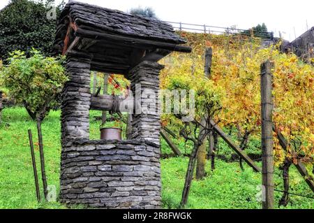 Old Water Well en automne près de la Wineyard Banque D'Images