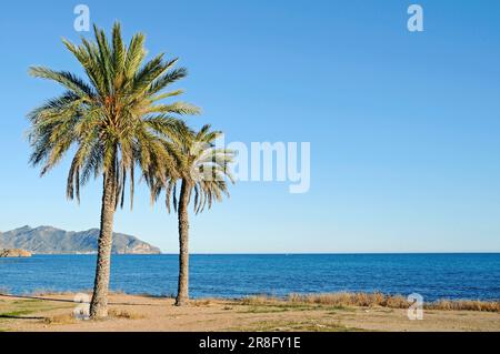 Plage, Bolnuevo, Puerto de Mazarron, Murcia, Costa Calida, Espagne Banque D'Images