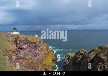 Phare et Foghorn, Rocky Coast, St. ABB's Head, St. ABB's, frontières écossaises, Ecosse, frontières écossaises, Sanctuaire ornithologique Banque D'Images