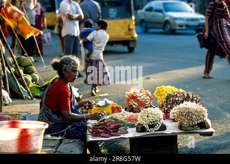 Vente de fleurs devant le temple kapaleeswalar, Chennai, Tamil Nadu, Inde, Asie Banque D'Images