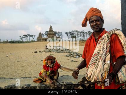 Charmer de singe derrière le temple de la rive à Mahabalipuram Mamallapuram près de Chennai, Tamil Nadu, Inde du Sud, Inde, Asie Banque D'Images