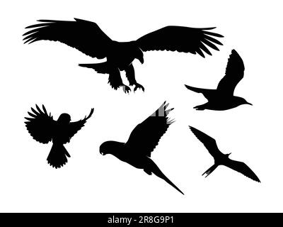 Ensemble d'oiseaux Silhouette isolé sur fond blanc - Illustration vectorielle Illustration de Vecteur