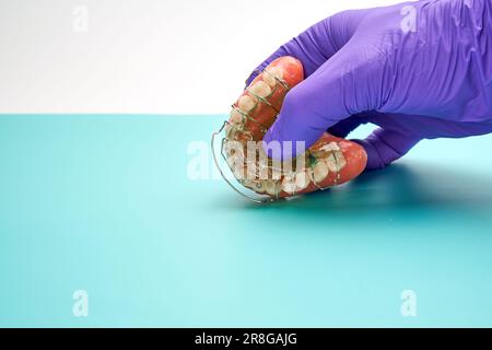 Technicien dentaire ayant une prothèse dentaire et un appareil orthodontique dans le laboratoire des prothèses dentaires. Banque D'Images