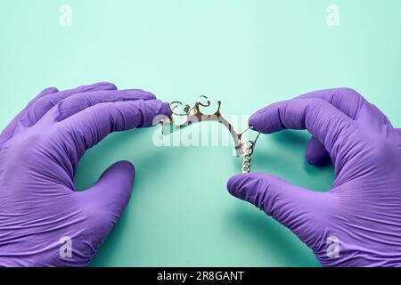 Technicien dentaire portant des gants violets faisant une prothèse métallique amovible sur une table verte. Banque D'Images