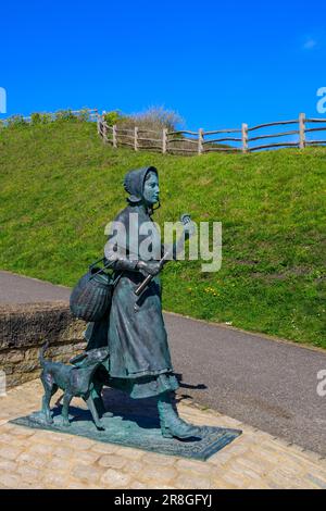 La statue du c l bre chasseur de fossiles Mary Anning par Denise