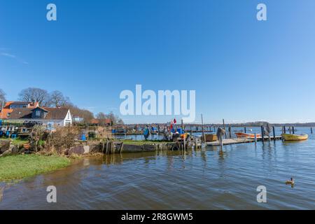 Colonie de pêcheurs sur le fjord Schlei au Schleswig, au Schleswig-Holstein, dans le nord de l’Allemagne, en Europe Banque D'Images