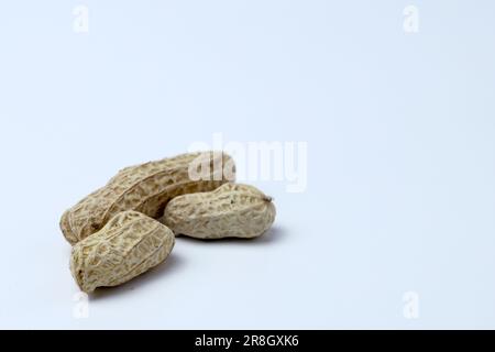 quelques cacahuètes sur un fond blanc gros plan. Macro photographie d'arachides. Banque D'Images