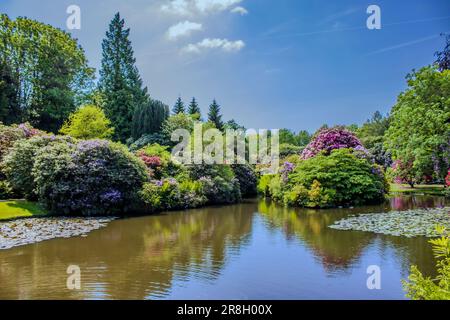 Paysage de lac Banque D'Images