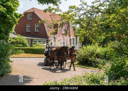 Spiekeroog, Allemagne. 21st juin 2023. À Spierkeroog, les touristes utilisent une calèche comme moyen de transport. Tandis que demain sera nuageux, les visiteurs de l'île peuvent profiter du temps ensoleillé le week-end. Credit: Marco Rauch/dpa/Alay Live News Banque D'Images