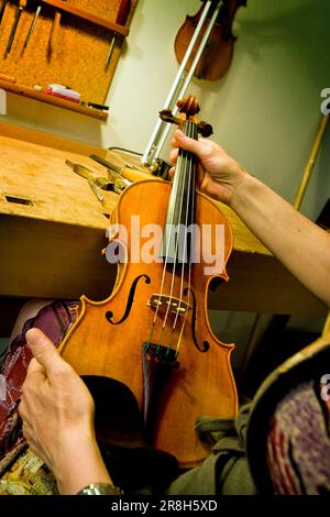 Luthier. Cremona. Lombardie. Italie Banque D'Images