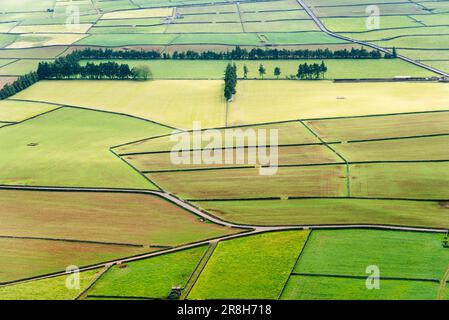 Vue panoramique aérienne sur les terres agricoles rurales traditionnelles de l'île de Terceira un jour ensoleillé d'été. Açores, Portugal. Terrain en vue aérienne. Inclure le terrain Banque D'Images