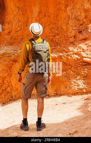 Randonneur dans le canyon de Bryce, Utah, en regardant sur les formations rocheuses, vue de l'arrière. Banque D'Images