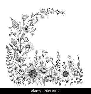 Cadre de fleurs sauvages en style boho esquisse dessin à la main illustration Illustration de Vecteur