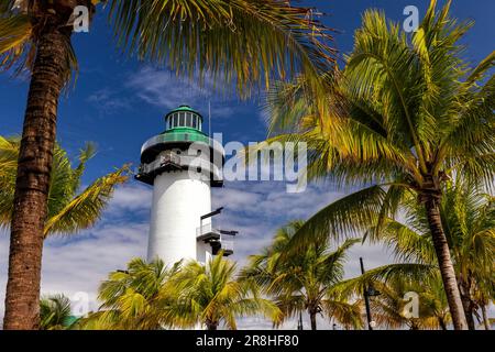 Paysage tropical et phare ('flighthouse') sur Harvest Caye - île privée appartenant à la Norwegian Cruise Line à Belize Banque D'Images