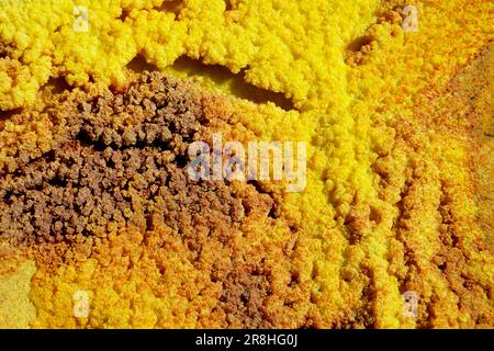 Acide sulfurique Pond Dallol est Un volcanique. La dépression de Danakil. Éthiopie Banque D'Images